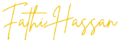 Fathi Hassan